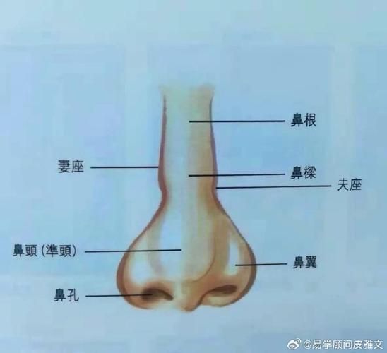鼻翼肥大下垂费用