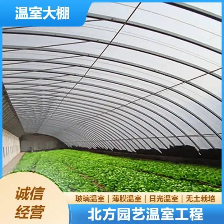 火龙果大棚种植技术