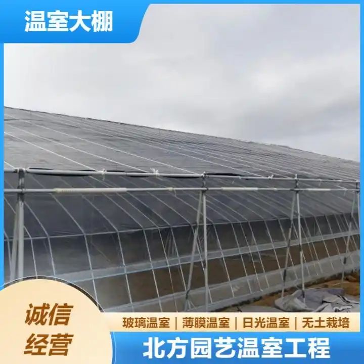 火龙果大棚种植技术