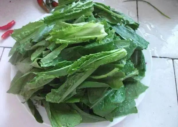 油麦菜种植方法