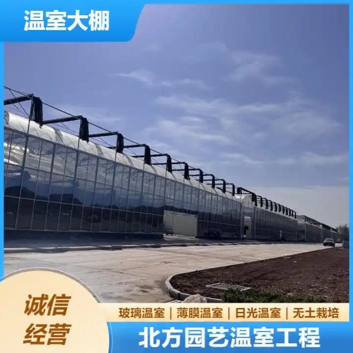 火龙果大棚种植技术