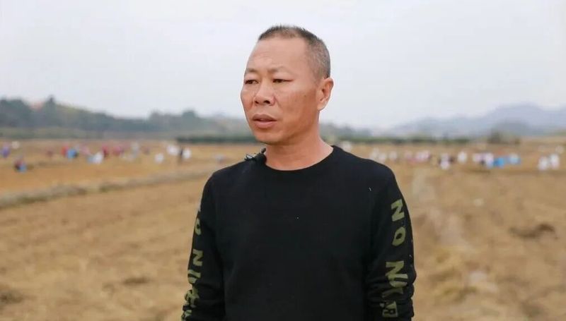 紫薯怎么种植方法图片