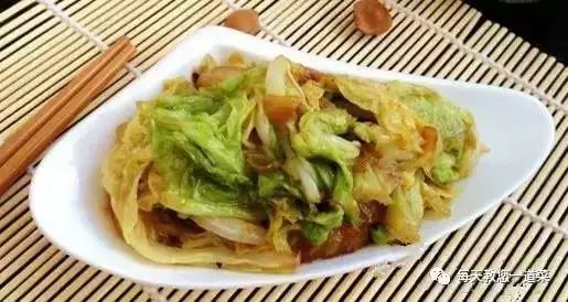 白菜的种植技术