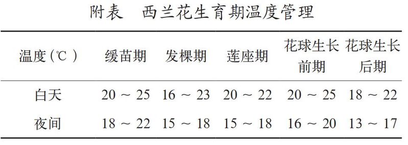 西兰花种植技术