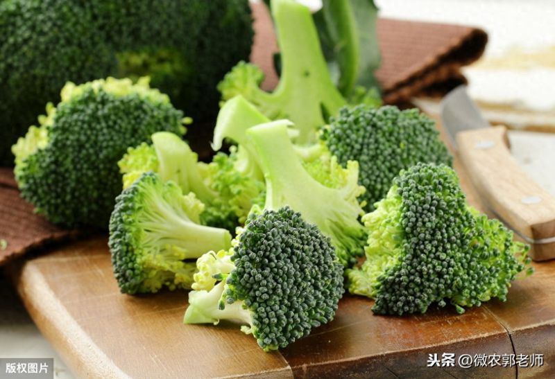 西兰花种植技术