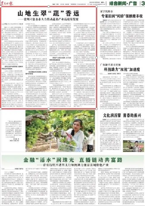 反季节大蒜种植技术