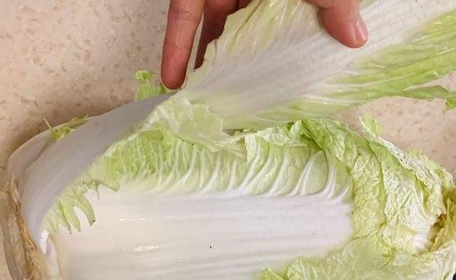 白菜的种植技术