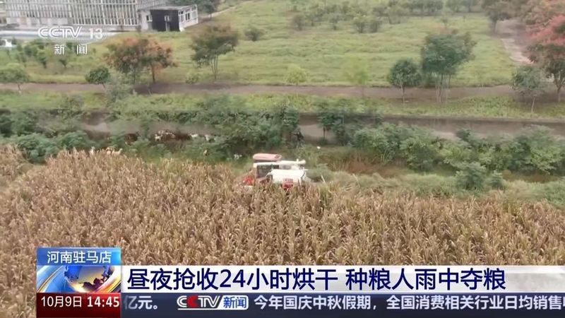 高产种植技术