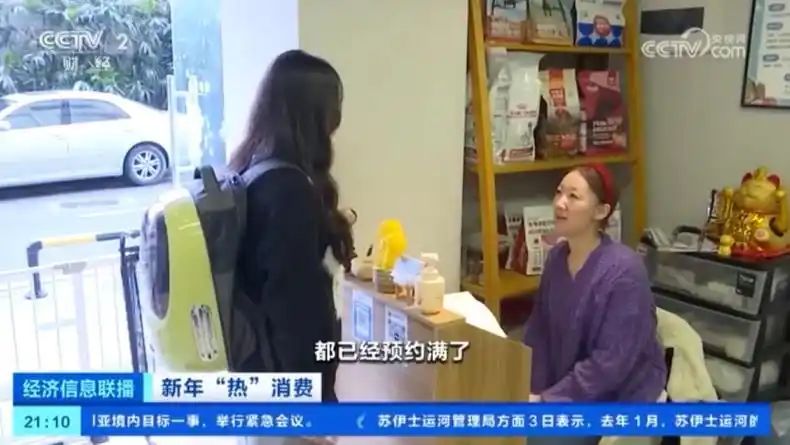 宠物店寄养一天多少钱