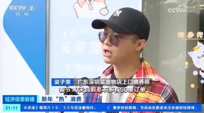 宠物店寄养一天多少钱