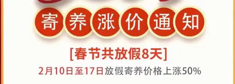 宠物店寄养一天多少钱