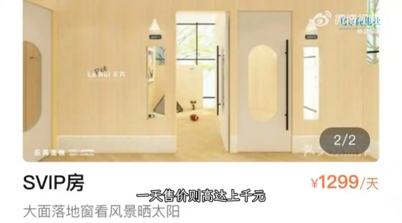 宠物店寄养一天多少钱