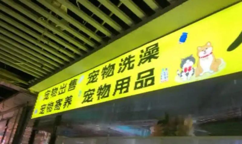 宠物店寄养一天多少钱