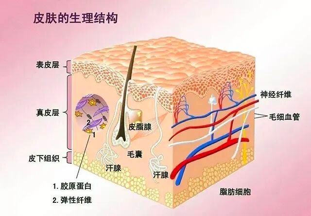 洗10厘米纹身多少钱