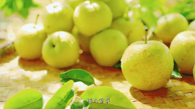适合湖南种植的果树