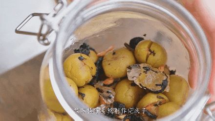 适合湖南种植的果树