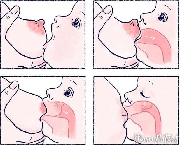The fastest way to suckle