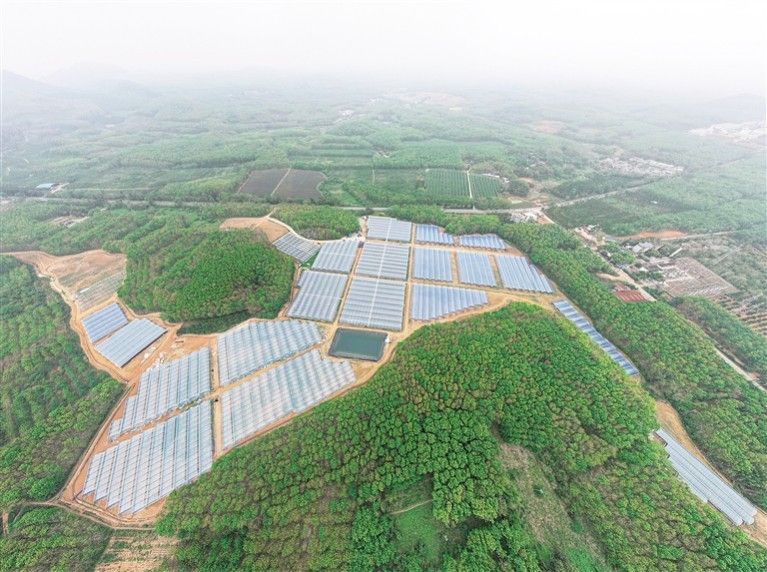 山东农业大棚种植技术