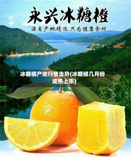 二年沙糖桔种植技术