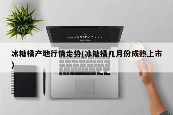 二年沙糖桔种植技术