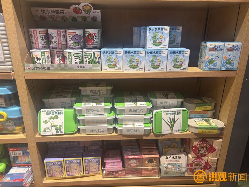 草莓小盆栽种植方法