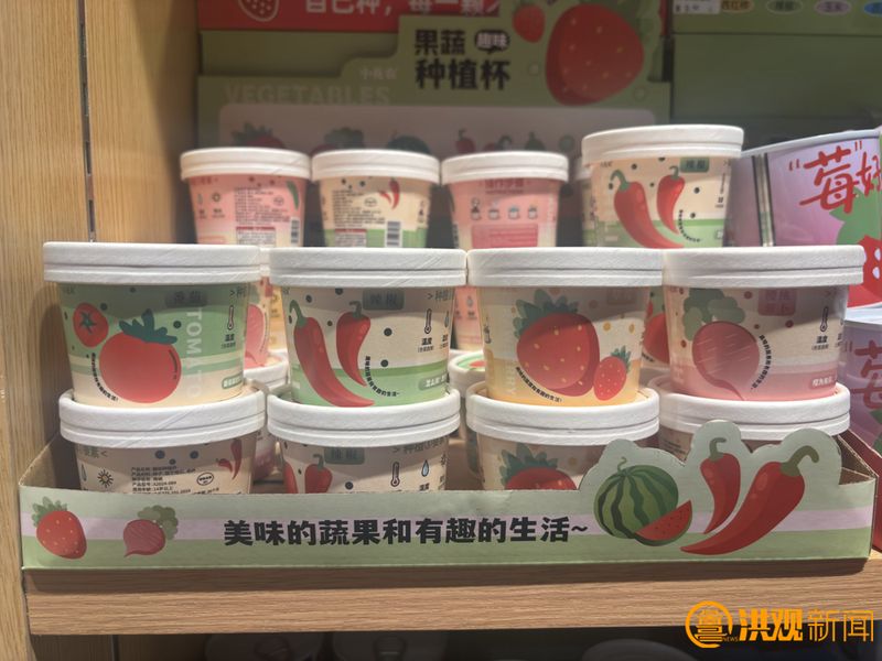 草莓小盆栽种植方法