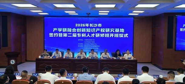 企业知识产权管理理论与实务
