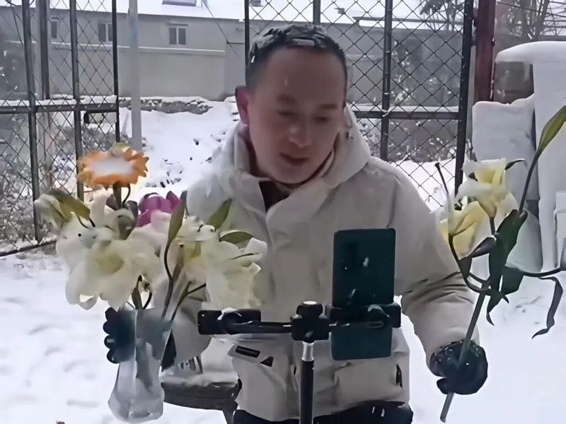 百合种子种植方法视频