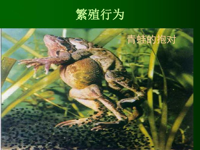 条件反射理论