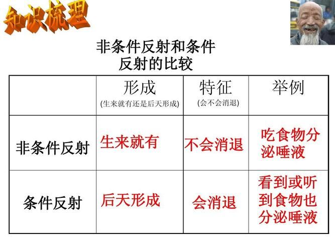 条件反射理论