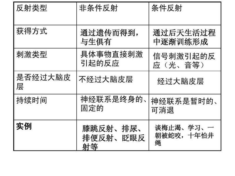 条件反射理论