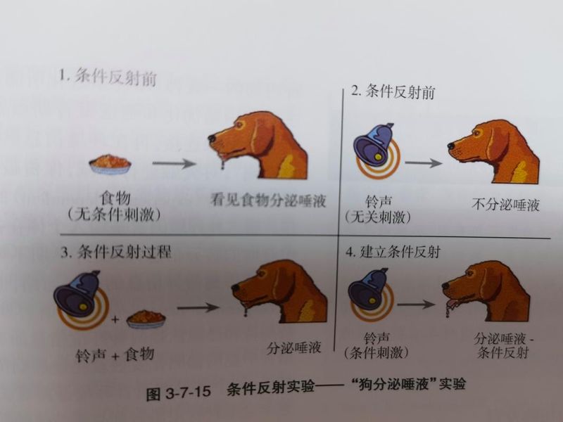 条件反射理论