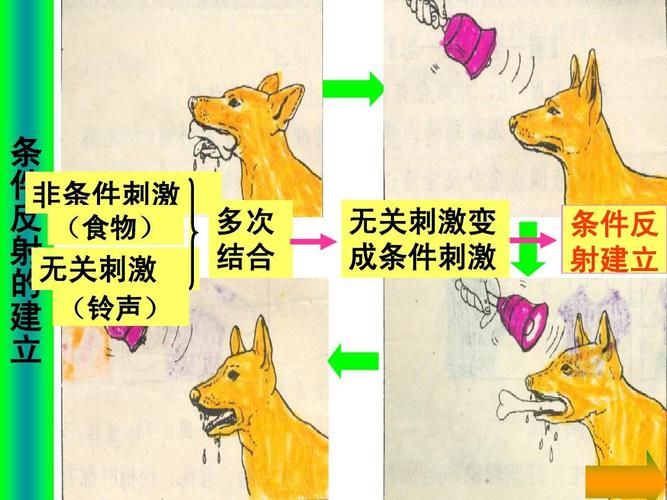 条件反射理论