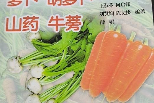 牛蒡子种植技术