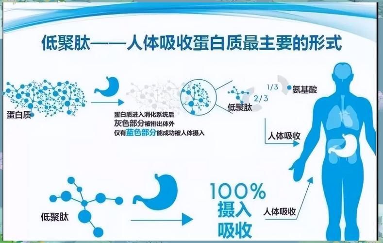 护肤常识网