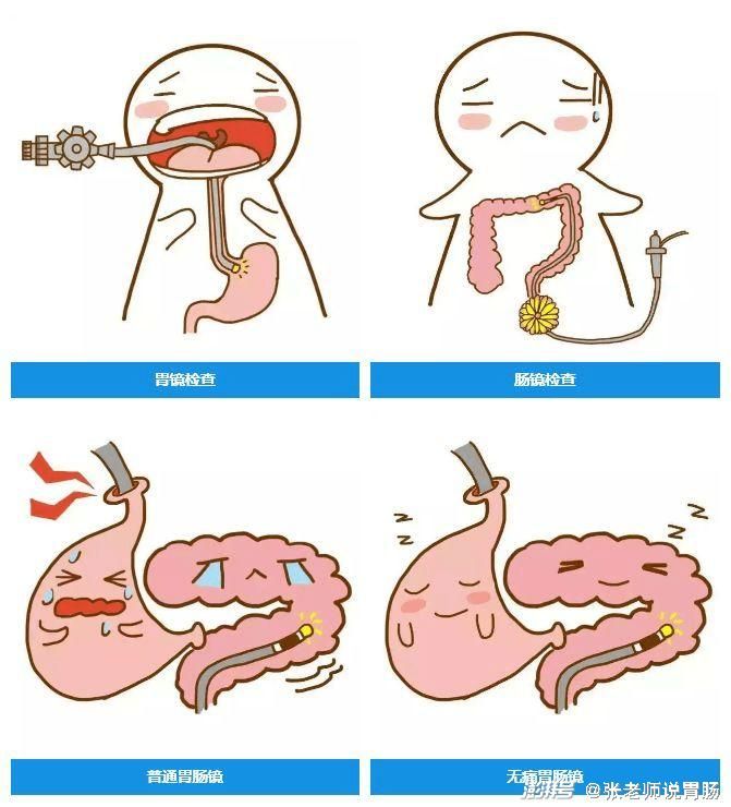 脾胃病知识问答
