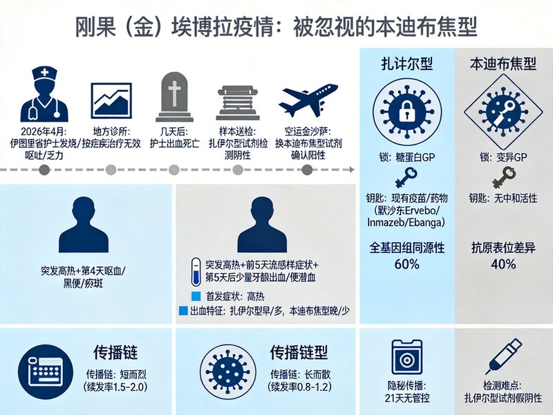 埃博拉病毒致病机理