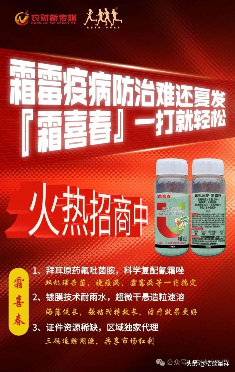 秋马铃薯的种植技术