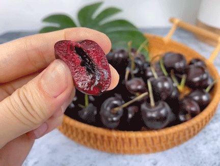美国车厘子种植技术
