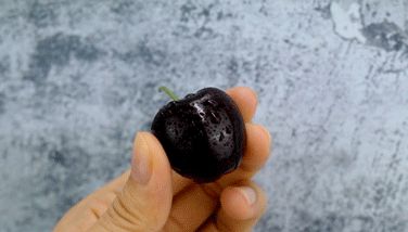 美国车厘子种植技术