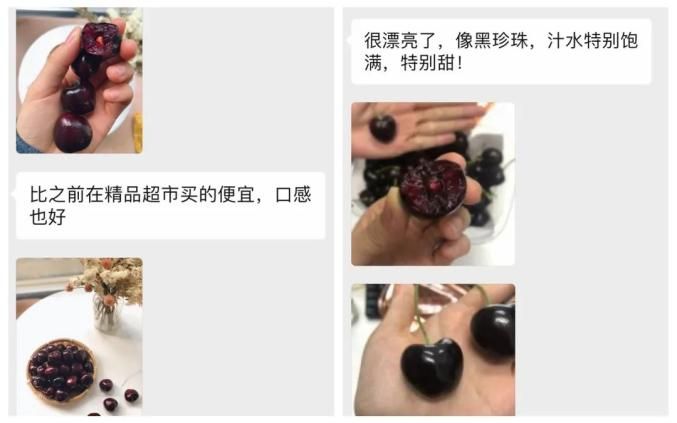 美国车厘子种植技术