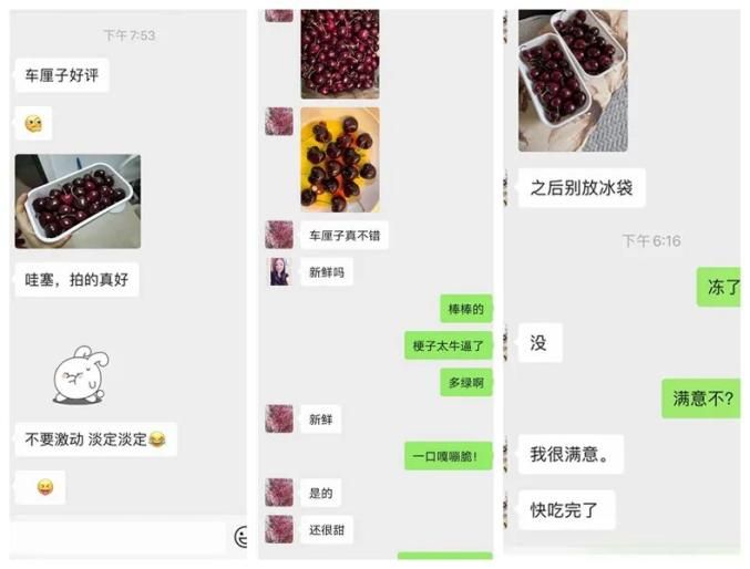 美国车厘子种植技术