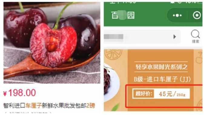 美国车厘子种植技术