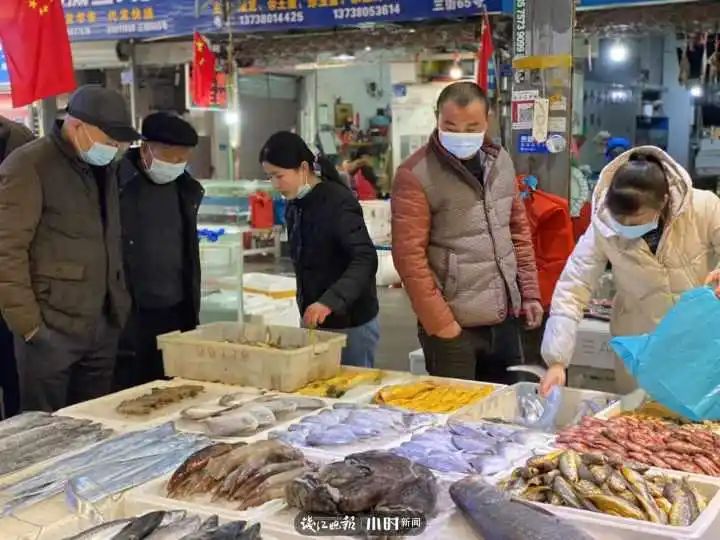 野生象拔蚌多少钱一斤