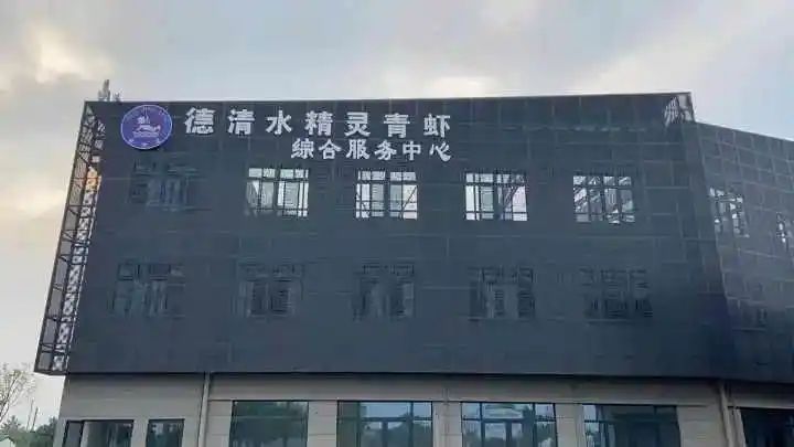 野生象拔蚌多少钱一斤