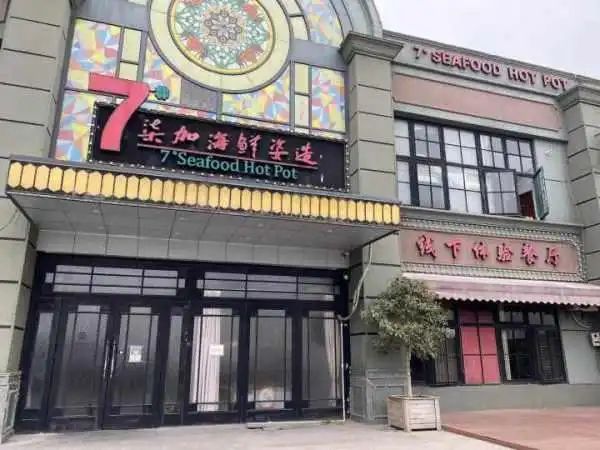 野生象拔蚌多少钱一斤