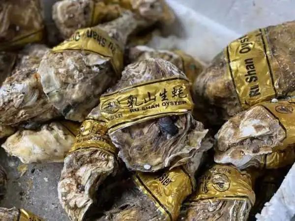野生象拔蚌多少钱一斤