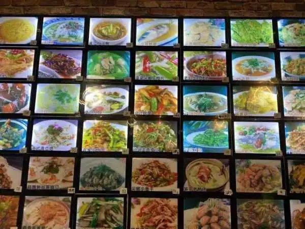 野生象拔蚌多少钱一斤