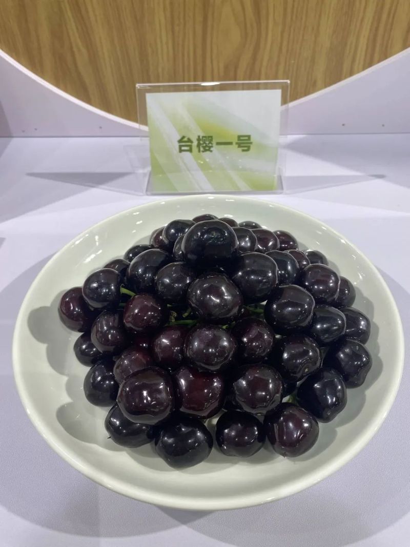 美国车厘子种植技术
