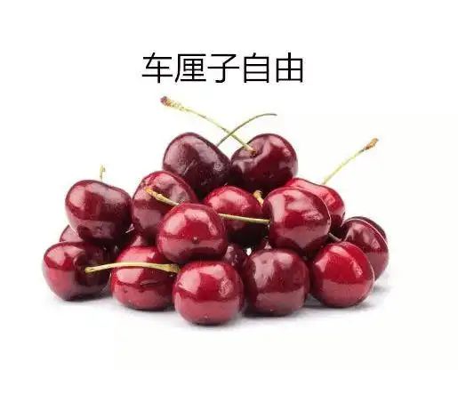 美国车厘子种植技术
